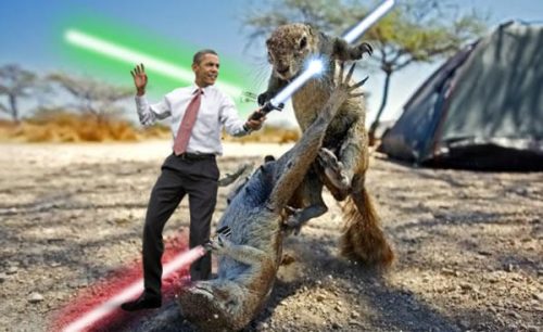  to the aid of his fallen squirrel Padawan, lightsaber landing a killing 